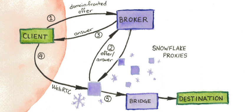 img schema snoflake large